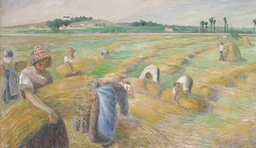 Moisson