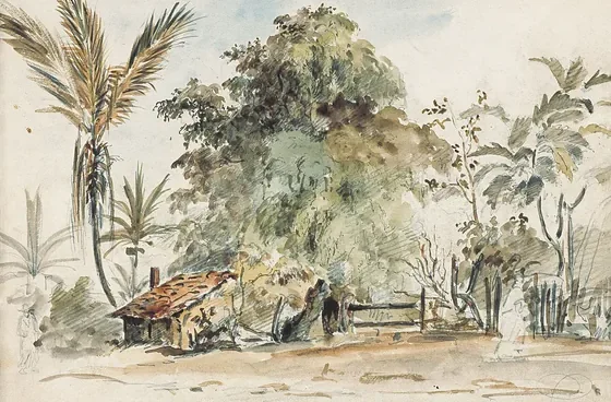 Pariata