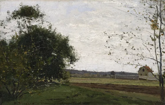 Paysage