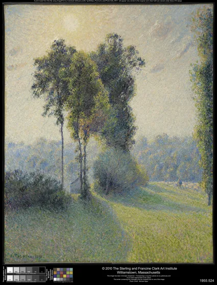 Paysage à Saint-Charles, soleil couchant
