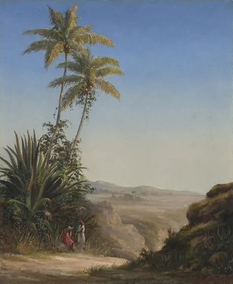 Paysage à Saint Thomas