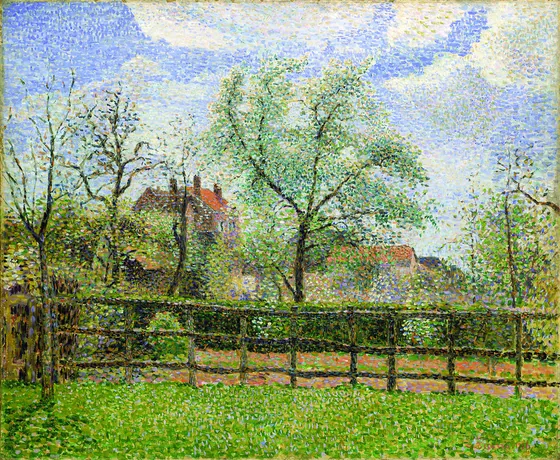 Pear Trees in Bloom at Eragny, Morning