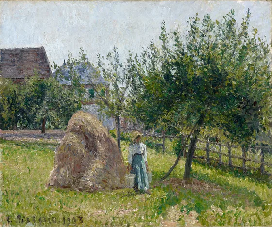 Pommier et meule à Eragny, matinée de soleil