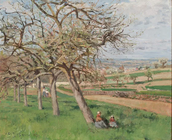 Pommiers en fleurs