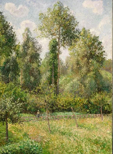 Poplars, Éragny