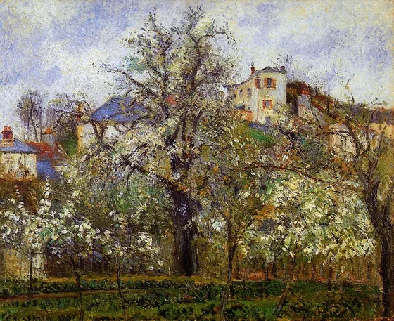 Printemps. Pruniers en fleurs