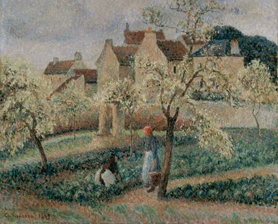 Pruniers en fleurs, Pontoise