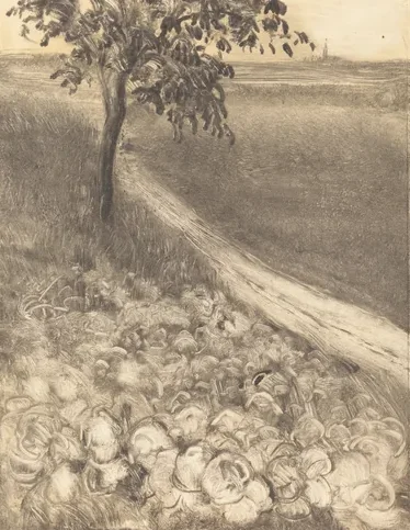 Road by a Field of Cabbages