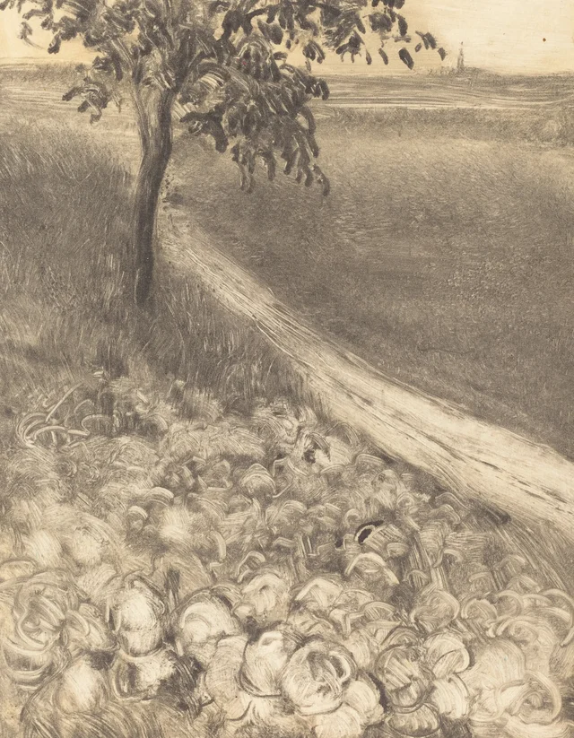Camino junto a un campo de coles, Camille Pissarro