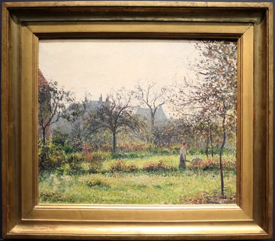 Soleil du matin, automne