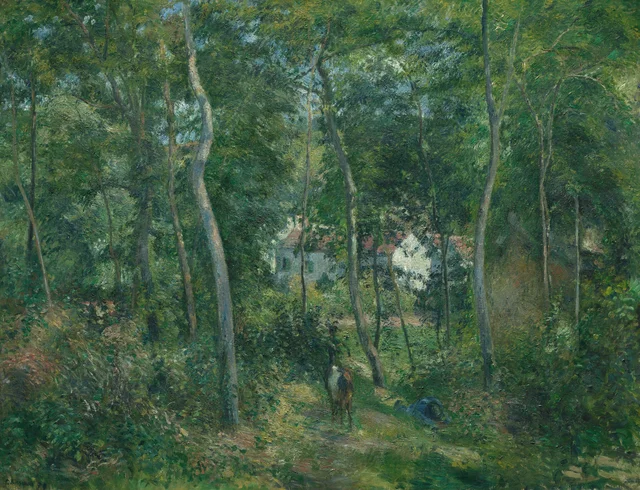 Sotobosque en L'Hermitage, Pontoise / El fondo de L'Hermitage