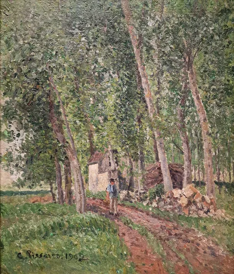 Sous-bois à Moret