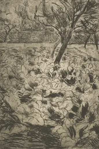 The Cabbage Field (Le champ de choux)