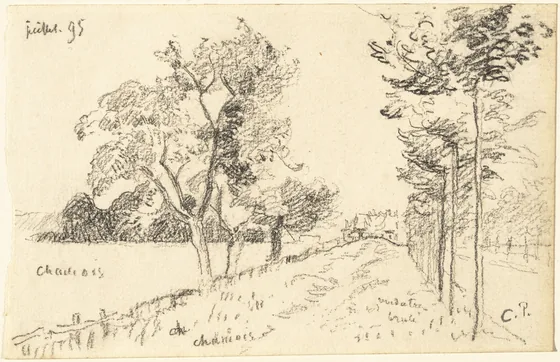 The Driveway