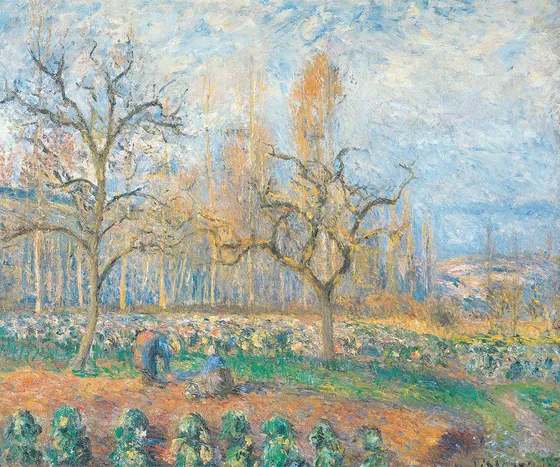 Verger à Pontoise, soleil couchant