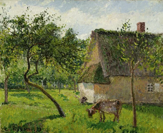 Verger à Varengeville avec vache
