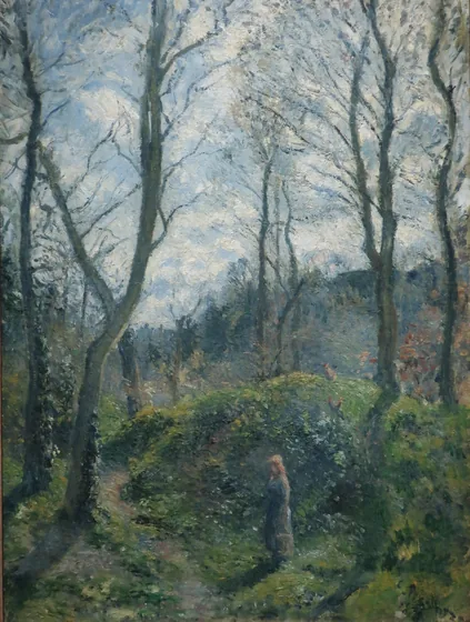 Woodland scene. Spring