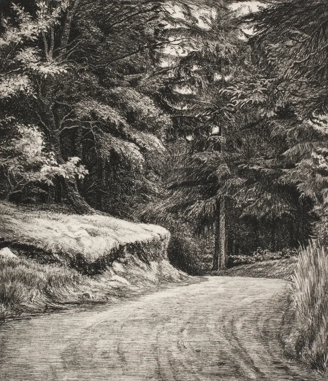 El camino en el bosque de abetos (3.ª prueba de ensayo), Carl Bloch