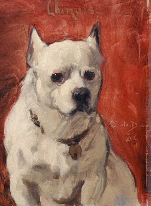 Le Chien « chinois »