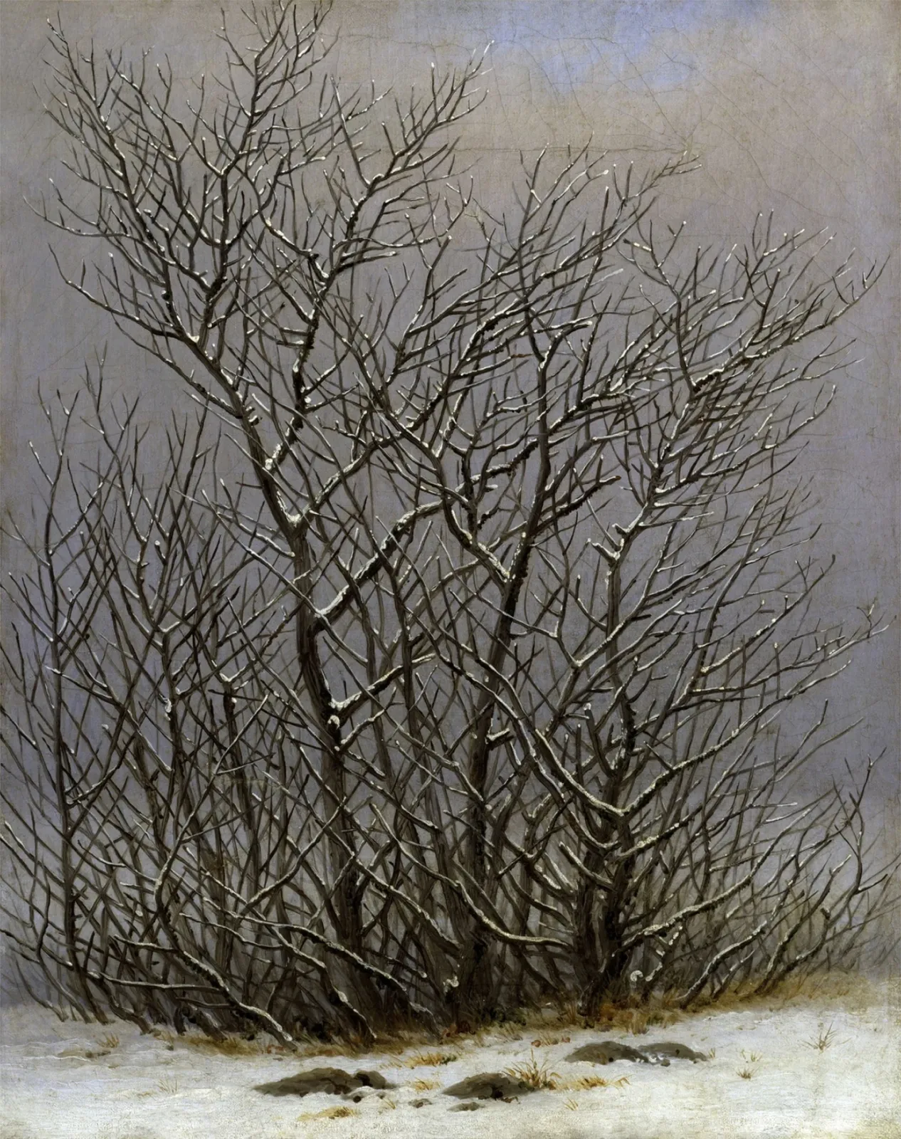 Arbres et arbustes sous la neige, Caspar David Friedrich