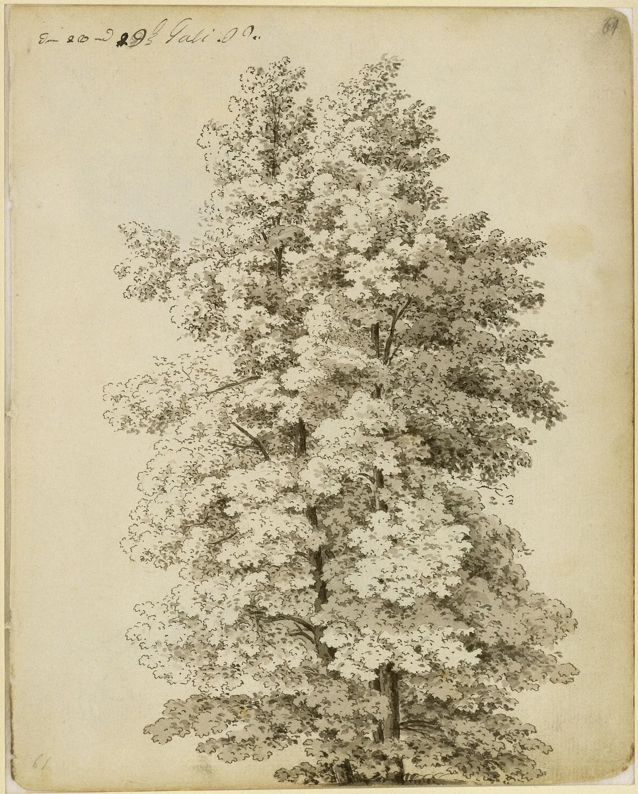 Groupe d'arbres, Caspar David Friedrich