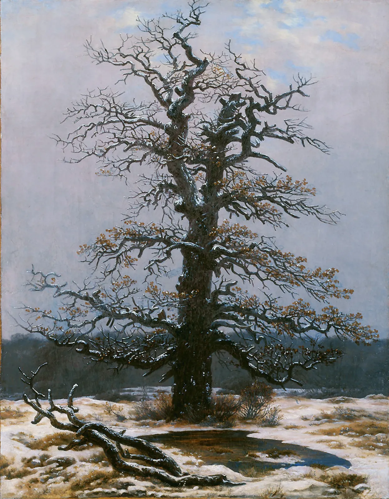 Chêne sous la neige, Caspar David Friedrich