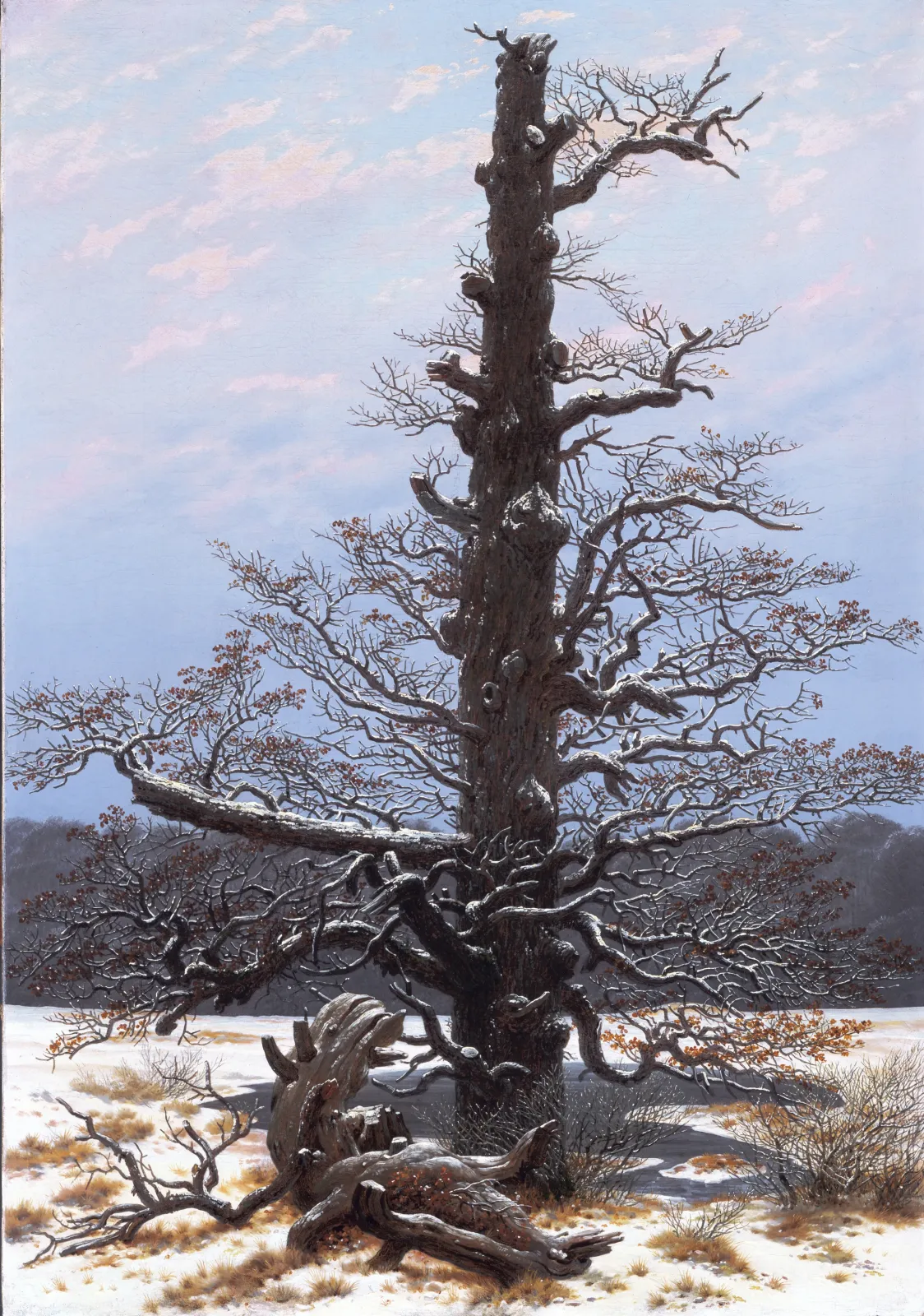 Chêne sous la neige, Caspar David Friedrich