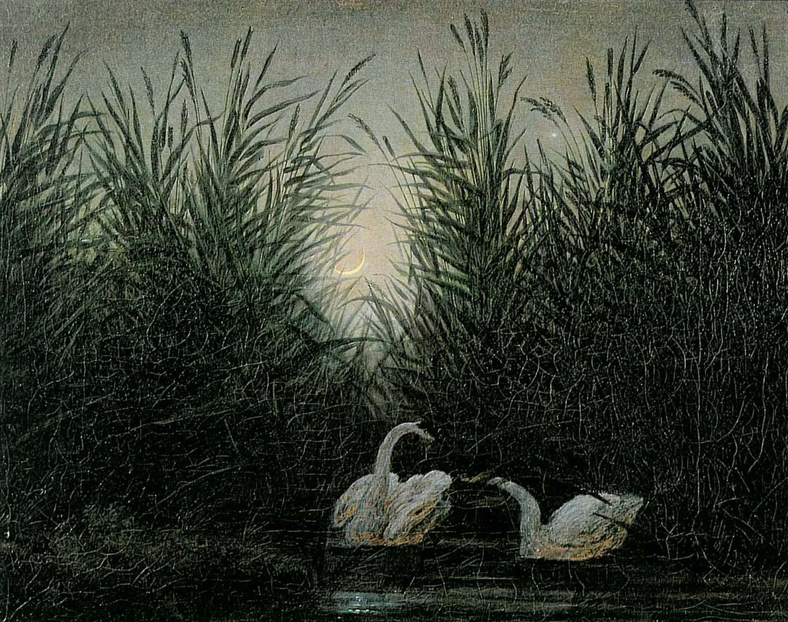 Cygnes dans les roseaux aux premières lueurs de l'aurore, Caspar David Friedrich