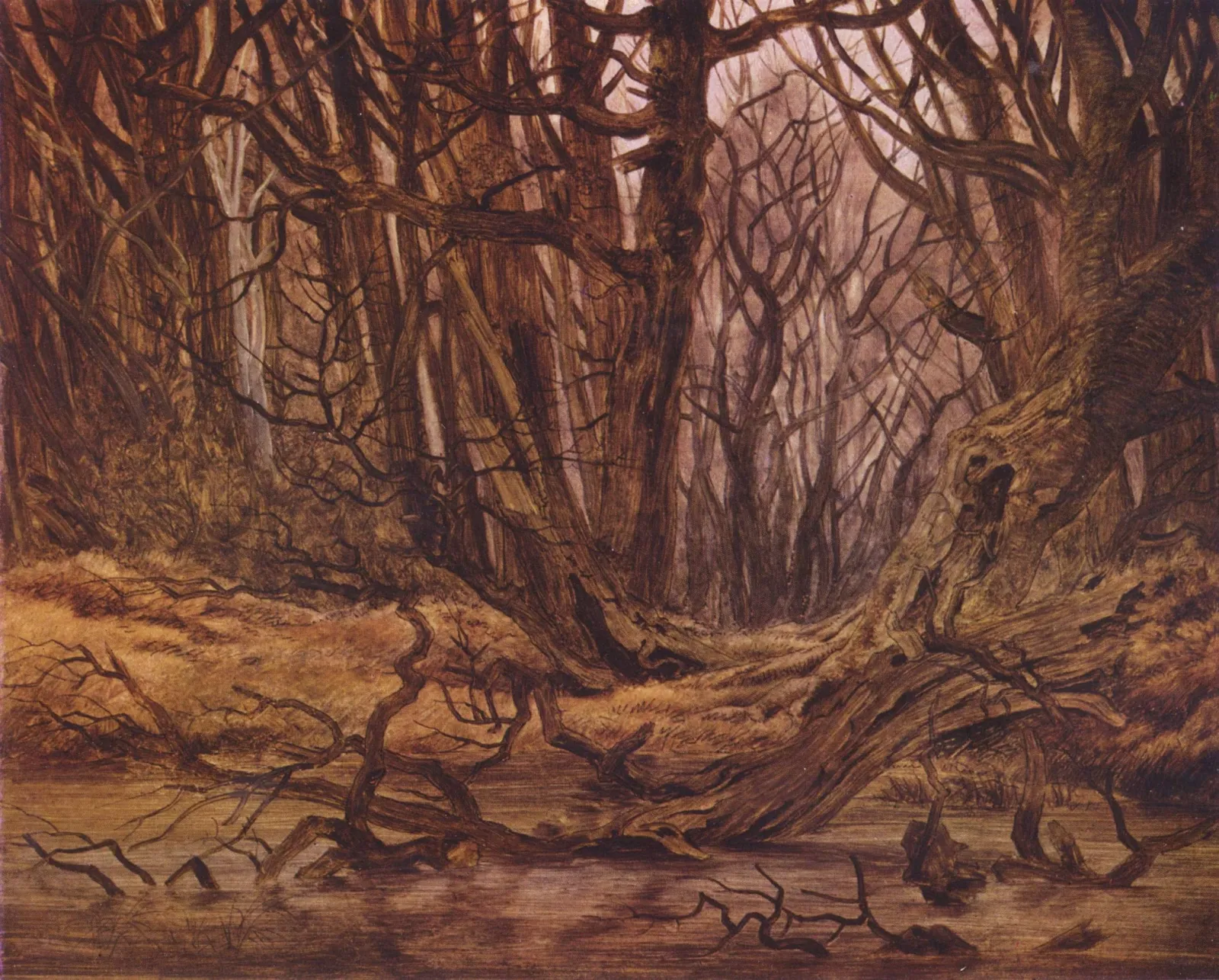 Forêt en fin d'automne, Caspar David Friedrich