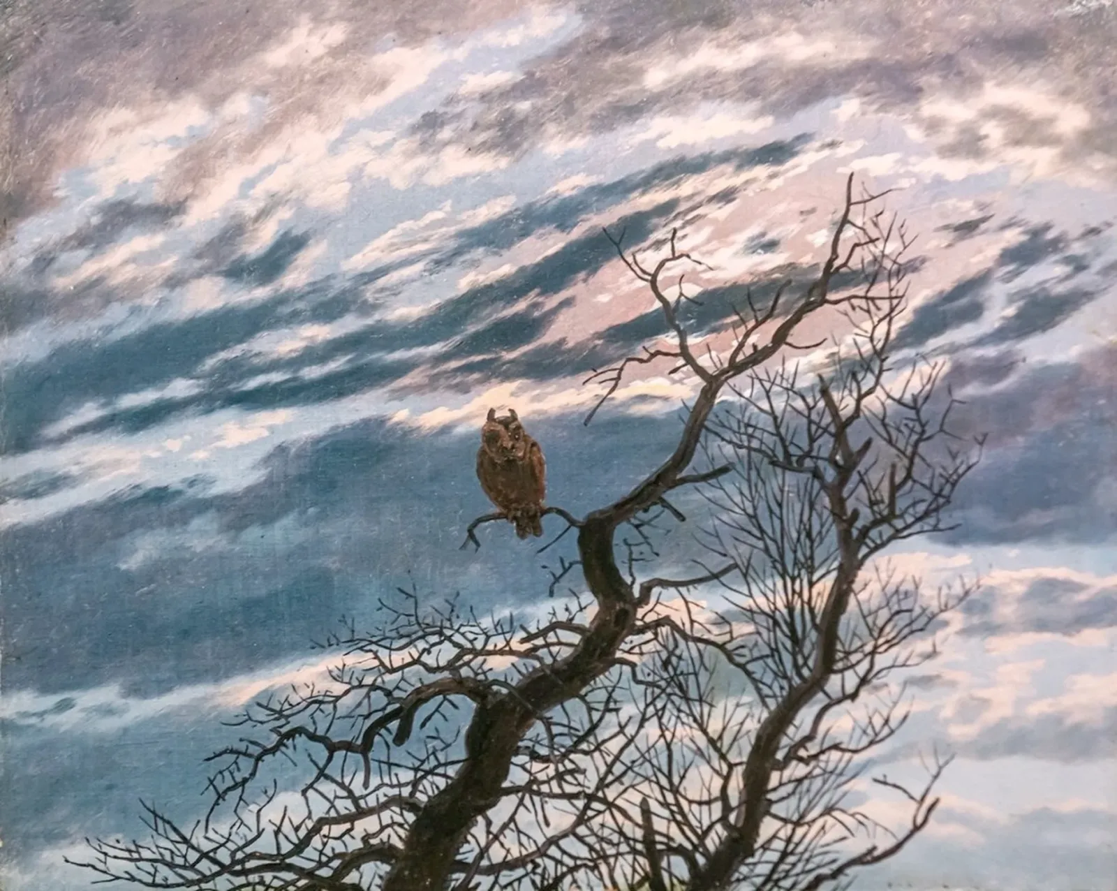 Hibou sur une arbre, Caspar David Friedrich