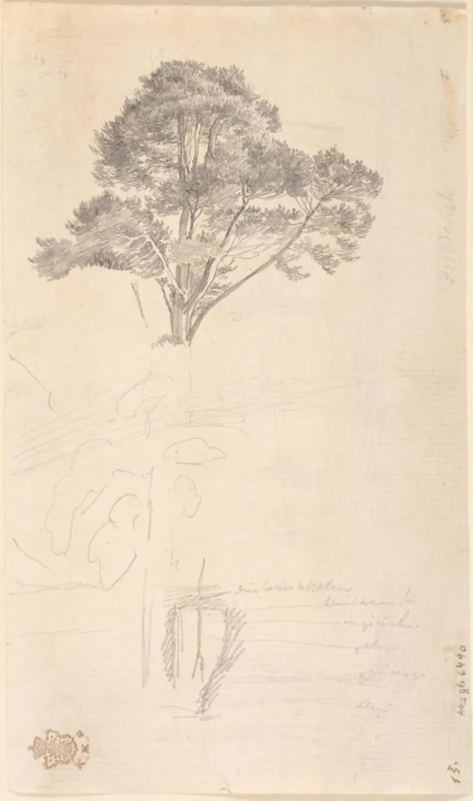 Studie af en trætop, Caspar David Friedrich