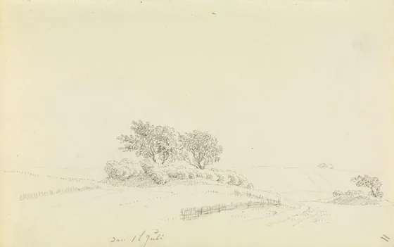 Vieux tumulus et ses arbres — Caspar David Friedrich