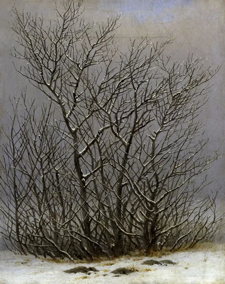 Arbres et arbustes sous la neige — Caspar David Friedrich