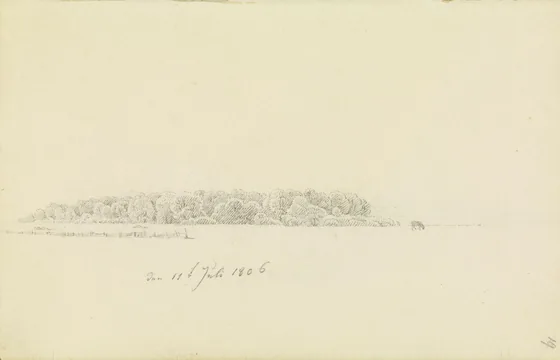 Paysage d'arbres avec un cheval au pré — Caspar David Friedrich
