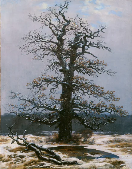 Chêne sous la neige — Caspar David Friedrich