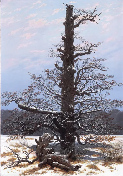 Chêne sous la neige — Caspar David Friedrich