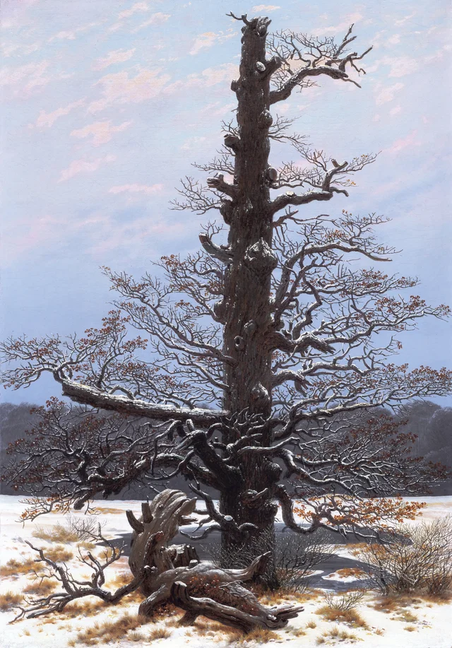 Roble bajo la nieve, Caspar David Friedrich