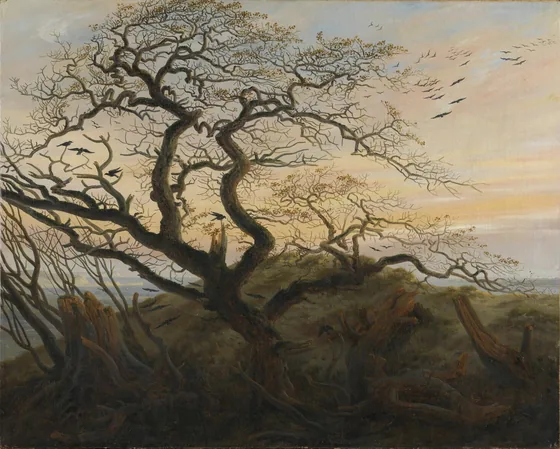 Corbeaux sur un arbre — Caspar David Friedrich