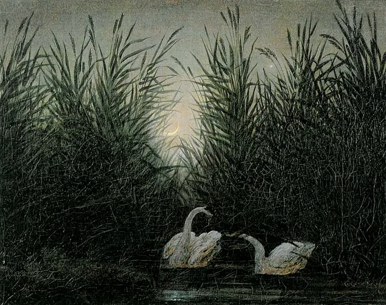 Cygnes dans les roseaux aux premières lueurs de l'aurore — Caspar David Friedrich