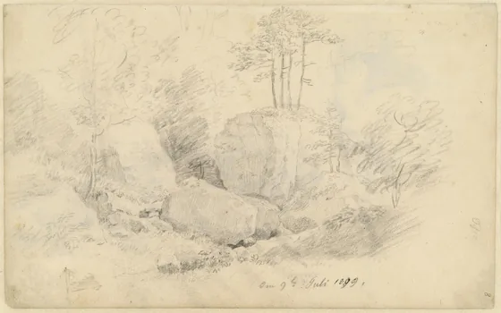 Blocs de rocher et arbres — Caspar David Friedrich