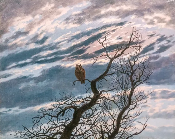 Hibou sur une arbre — Caspar David Friedrich