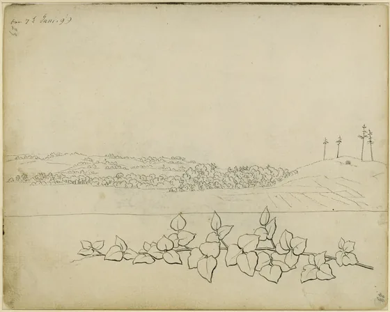 Collines aux quatre épicéas élancés, et au-dessous une branche feuillue — Caspar David Friedrich