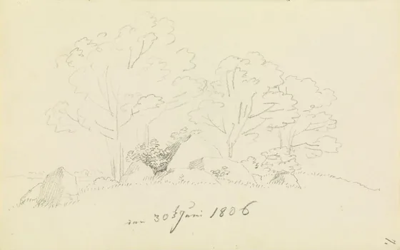 Dolmen entouré d'arbres — Caspar David Friedrich