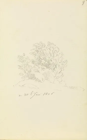 Dolmen dans les broussailles — Caspar David Friedrich
