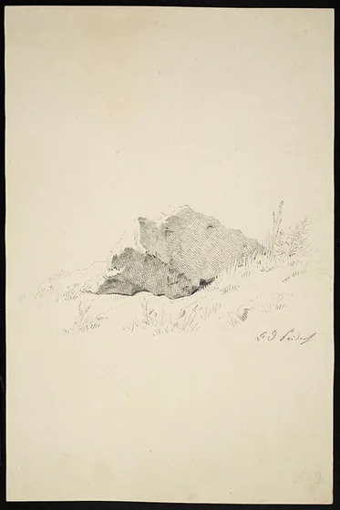 Formation rocheuse et plantes — Caspar David Friedrich