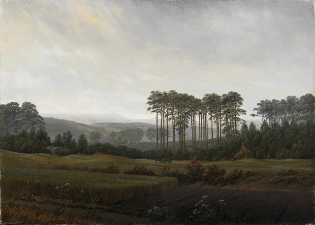 La tarde