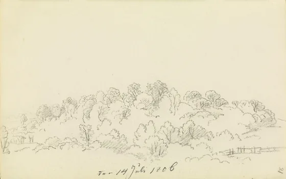 Paysage d'arbres et de buissons — Caspar David Friedrich