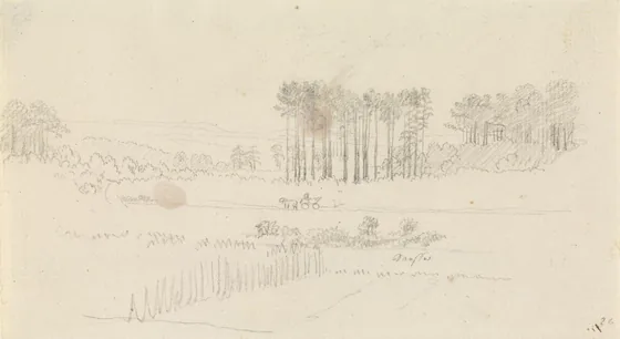 Paysage aux grands pins, avec un attelage — Caspar David Friedrich