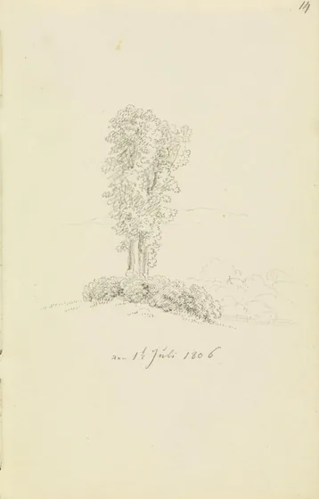 Paysage de colline et d'arbres — Caspar David Friedrich