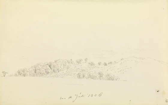 Collines de Rügen avec des arbres — Caspar David Friedrich